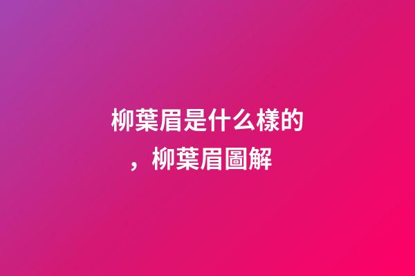 柳葉眉是什么樣的，柳葉眉圖解
